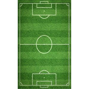 Tiptrade Detský uterák Futbalové ihrisko, 30 x 50 cm