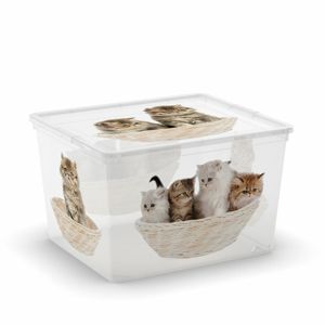 KIS C-Box Puppy & Kitten Cube 27l