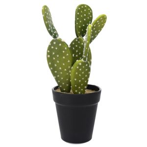 Koopman Umelý kaktus Cascabel, 10 cm