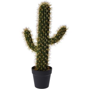 Koopman Umelý kaktus Safford, 54 cm