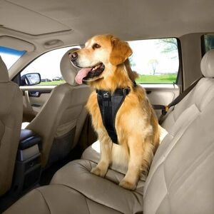 Kurgo Bezpečnostný postroj pre psy s pásom do auta, čierna, XL