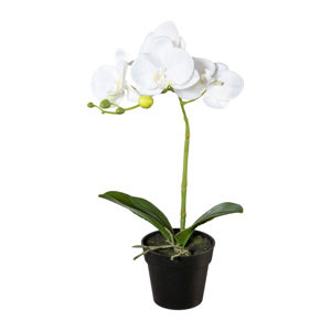 Umelá Orchidea v kvetináči biela, 37 cm